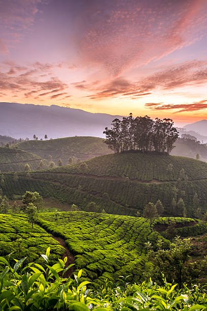 Darjeeling